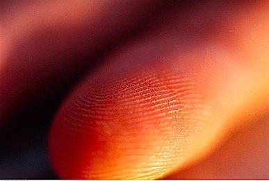 亚马逊游戏CEO称：将为Switch继任者提供游戏支持